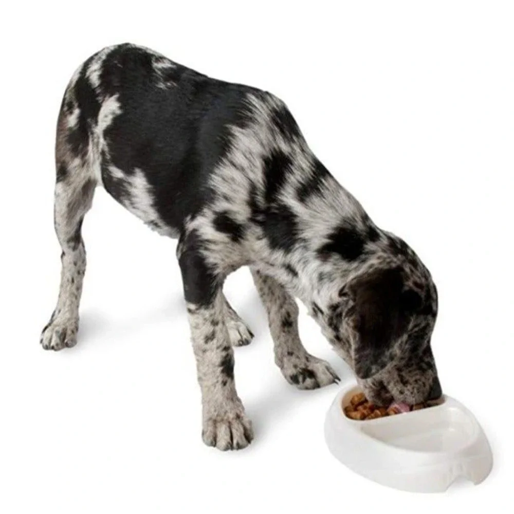 Petmate Ultra Lightweight Double Diner Pet Bowl